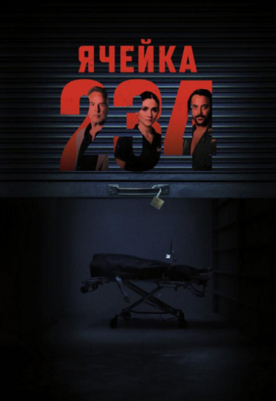 ������ 234 �������� ������